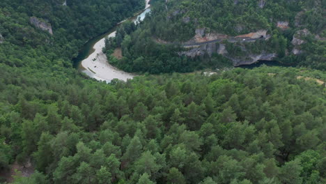 Aerial-over-a-pine-tree-forest-discovering-Tarn-river-and-canyon-gorges-du-Tarn